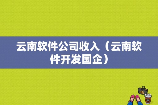 云南软件公司收入（云南软件开发国企）-图1