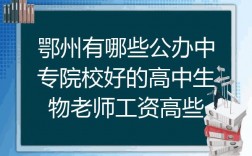 鄂州教师收入（鄂州高中教师工资）