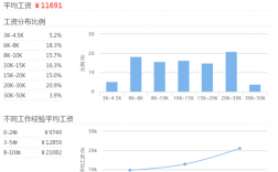 高级数据分析师收入（高级数据分析师收入多少）