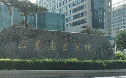 山东省立医院收入（山东省立医院一年盈利）