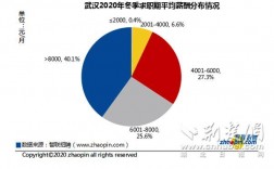 武汉各职业收入（2020年武汉各行业工资水平）