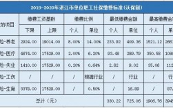 湛江市保费收入（2021年7月湛江社保缴费标准）