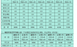 空军士官收入（中国空军士官工资）