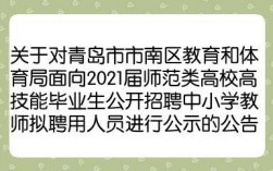 青岛高校教师收入（青岛高校教师招聘2020）