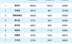 青岛人收入统计（青岛人均收入水平）