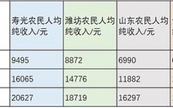 寿光农业收入（寿光年收入）