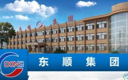 山东东顺集团收入（山东东顺集团收入如何）