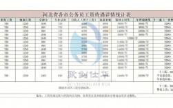 石家庄公务员收入（石家庄公务员收入30万怎么样）