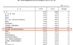 塔城市收入（2020年塔城地区在职平均工资是多少）