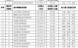 会计事务所收入排名（会计师事务所业务收入排名）