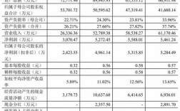 银汉科技收入（银汉科技市值）