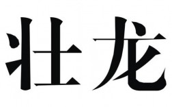 壮龙营业收入（壮龙营业收入多少亿）