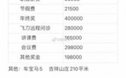 整形医师收入（整形医生收入年收入200万）