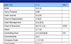 sap公司收入（sap 公司）