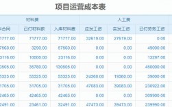 项目管理公司收入（项目管理公司收入怎么样）