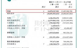 维达集团收入（维达集团收入如何）