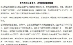 山东能源的收入（山东能源集团2020年利润）