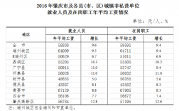 肇庆人平工资收入（肇庆人平均工资）