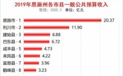 恩施财政收入2019（恩施财政收入2020）