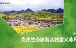 安顺2016旅游收入（安顺市旅游业发展现状分析）