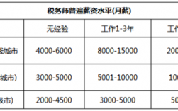 税务师收入待遇（税务师的薪资水平）