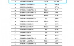 德勤2016收入（德勤2019营收）