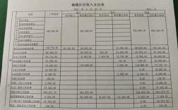 专责收入（专项收入是什么）