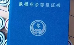 象棋教练的收入（2020象棋教练员资格证怎么拿）