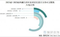 拉萨平均月收入（西藏拉萨平均收入）