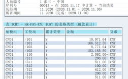 sap设计师收入（sap技术工程师招聘）