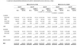 华西希望年收入（华西希望集团500强排名）