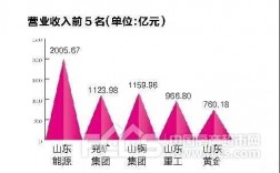 山东高速性质收入（山东高速盈利）