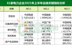 云南火电公司收入（中国能建云南火电收入）