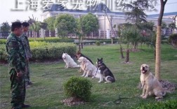 上海训犬师收入（上海训犬师培训学费大概要多少钱）