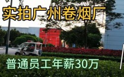 广州卷烟厂收入（广州卷烟厂收入多少）