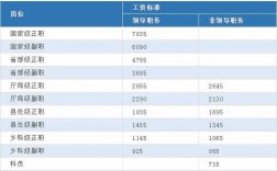 镇政府职位收入（镇政府的收入）