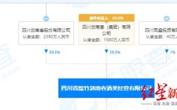 剑南春职工收入（剑南春集团2019年销售收入）