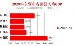 2015利津财政收入（利津gdp2019）