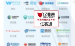 亿塞通收入（亿赛通 价格）