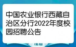 西藏农行员工收入（2022年西藏农行招聘）