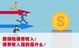 保险收入无上限（保险收入是什么意思）