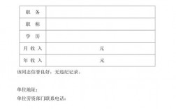 电子收入验证（电子版的收入证明银行认可吗）