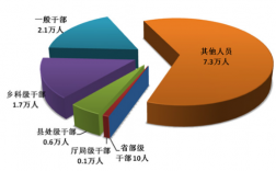 中央干部年收入（部级干部年收入）