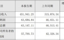 石化盈科收入规模（石化盈科是国企）