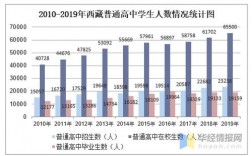 拉萨教师收入（拉萨中学教师工资水平）