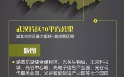 武汉光谷运营收入（武汉光谷产业规模）