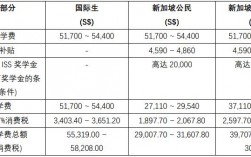 新加坡高校收入（新加坡高校收入排名前十）