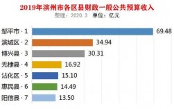 2016邹平财政收入（邹平财政收入2019）