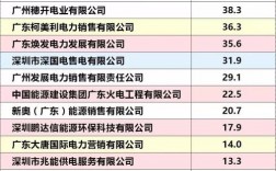 粤电集团收入（粤电集团工资）