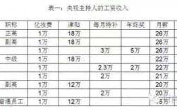 电视台工作收入多少（电视台工资高不高）